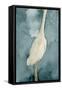 Simple Egret II-Emma Caroline-Framed Stretched Canvas