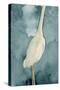 Simple Egret II-Emma Caroline-Stretched Canvas