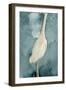 Simple Egret II-Emma Caroline-Framed Art Print