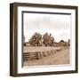 Simple Farm Life-Ynon Mabat-Framed Art Print