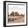 Simple Farm Life-Ynon Mabat-Framed Art Print