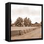 Simple Farm Life-Ynon Mabat-Framed Stretched Canvas