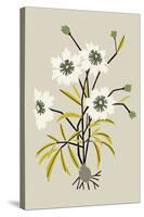 Simple Flora - White Flowers-Kristine Hegre-Stretched Canvas