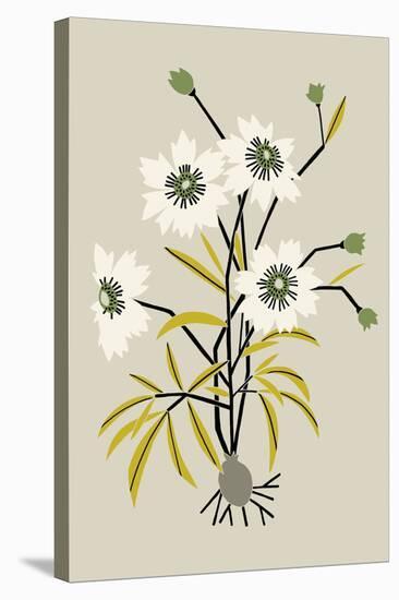 Simple Flora - White Flowers-Kristine Hegre-Stretched Canvas