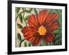 Simple Garden I-Walt Johnson-Framed Art Print