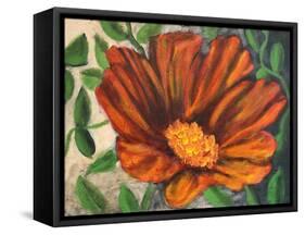Simple Garden II-Walt Johnson-Framed Stretched Canvas