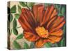 Simple Garden II-Walt Johnson-Stretched Canvas