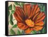 Simple Garden II-Walt Johnson-Framed Stretched Canvas