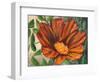 Simple Garden II-Walt Johnson-Framed Art Print