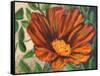 Simple Garden II-Walt Johnson-Framed Stretched Canvas