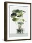 Simple Glass I-Asia Jensen-Framed Art Print