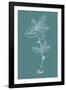 Simple Herb - Mint-Clara Wells-Framed Giclee Print