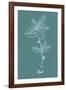 Simple Herb - Mint-Clara Wells-Framed Giclee Print