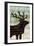 Simple Living Elk Script-Michael Mullan-Framed Art Print