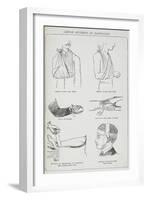 Simple Methods Of Bandaging-Isabella Beeton-Framed Giclee Print