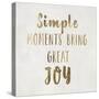 Simple Moments-PI Studio-Stretched Canvas