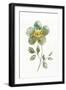 Simple Petals II-null-Framed Art Print