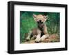 Simple Pleasures-Art Wolfe-Framed Giclee Print