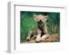 Simple Pleasures-Art Wolfe-Framed Giclee Print