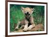 Simple Pleasures-Art Wolfe-Framed Giclee Print