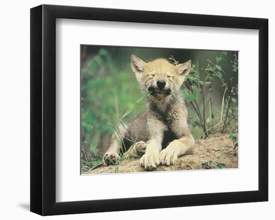 Simple Pleasures-Art Wolfe-Framed Art Print