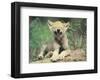 Simple Pleasures-Art Wolfe-Framed Art Print