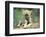 Simple Pleasures-Art Wolfe-Framed Art Print