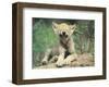 Simple Pleasures-Art Wolfe-Framed Art Print