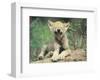 Simple Pleasures-Art Wolfe-Framed Art Print