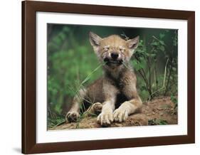 Simple Pleasures-Art Wolfe-Framed Art Print