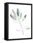 Simple Sage II-Emma Scarvey-Framed Stretched Canvas