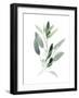 Simple Sage III-Emma Scarvey-Framed Art Print