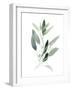 Simple Sage III-Emma Scarvey-Framed Art Print