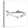 Simple Sketched Fish-OnRei-Stretched Canvas