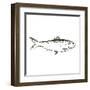 Simple Sketched Fish-OnRei-Framed Art Print