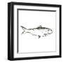 Simple Sketched Fish-OnRei-Framed Art Print