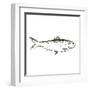 Simple Sketched Fish-OnRei-Framed Art Print