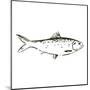 Simple Sketched Fish-OnRei-Mounted Art Print