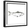 Simple Sketched Fish-OnRei-Framed Art Print