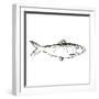 Simple Sketched Fish-OnRei-Framed Art Print