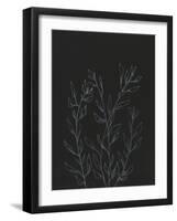 Simple Stalk I-Regina Moore-Framed Art Print