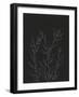 Simple Stalk I-Regina Moore-Framed Art Print