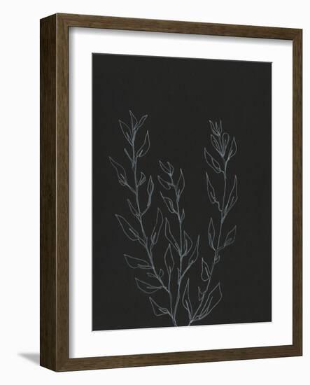 Simple Stalk II-Regina Moore-Framed Art Print