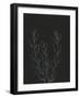 Simple Stalk II-Regina Moore-Framed Art Print