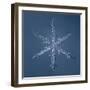 Simple Star Snowflake-null-Framed Giclee Print