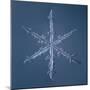 Simple Star Snowflake-null-Mounted Giclee Print