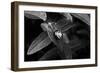 Simple Things-Henriette Lund Mackey-Framed Photographic Print