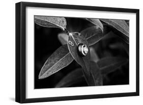 Simple Things-Henriette Lund Mackey-Framed Photographic Print