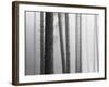 Simple Truths-David Baker-Framed Photographic Print