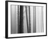 Simple Truths-David Baker-Framed Photographic Print